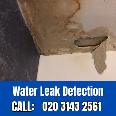 Expert Water Leak Detection Services in Bromley | Bromley Leak Detection